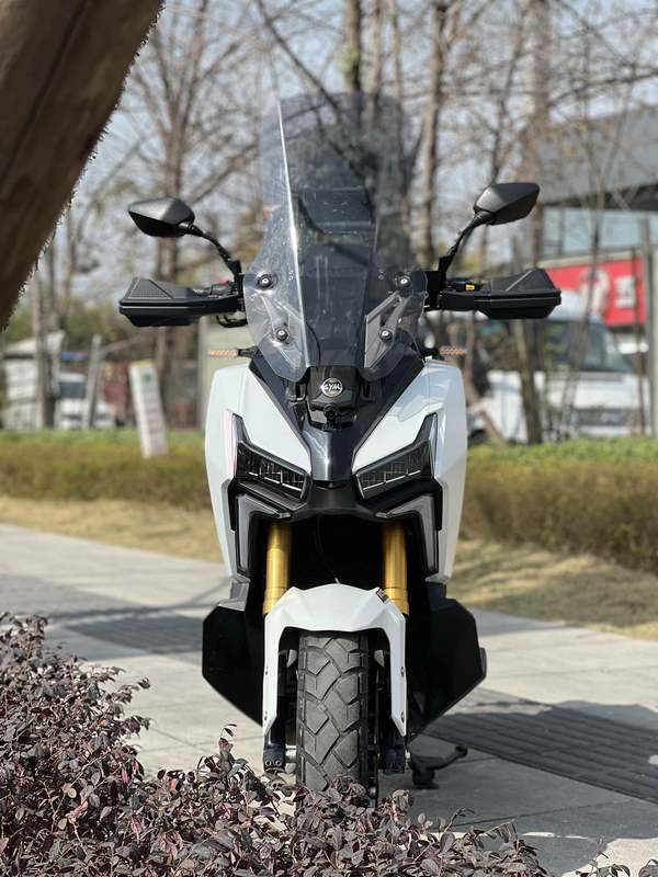 二手三阳剑齿虎 ADXTG