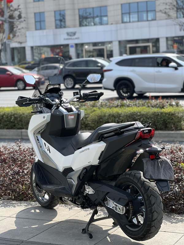 二手三阳剑齿虎 ADXTG