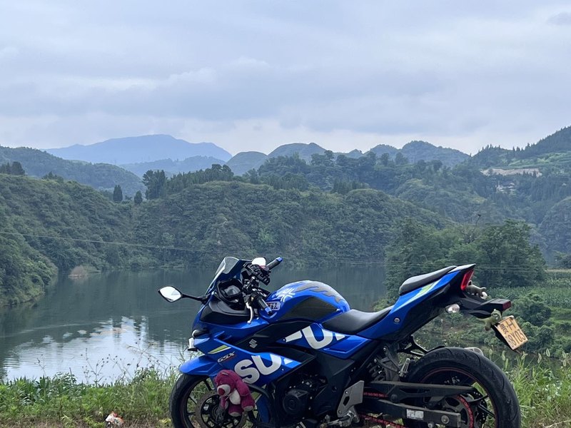 二手豪爵铃木GSX250R