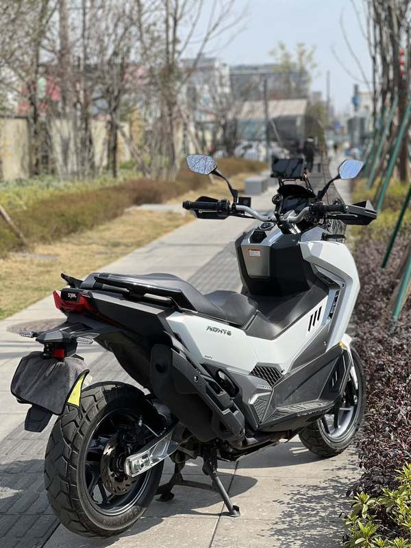 二手三阳剑齿虎 ADXTG