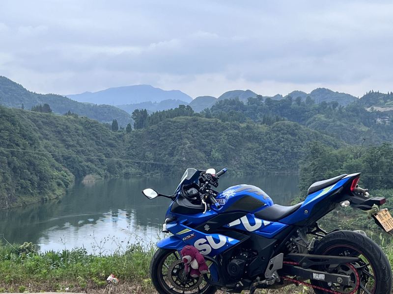 二手豪爵铃木GSX250R