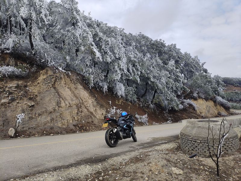 二手诺马魅影 255S