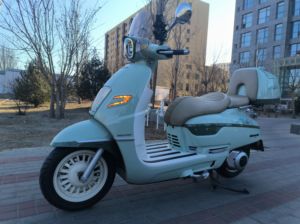 二手南方梦拉丽莎 飞戈