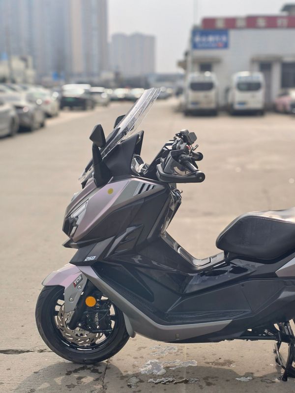 二手三阳巡弋 Cruisym250