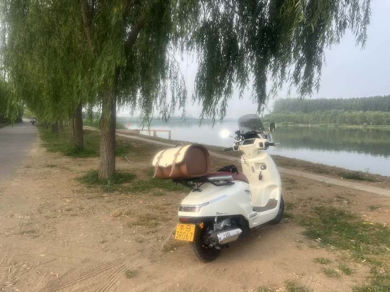 二手钱江梦想迪诺