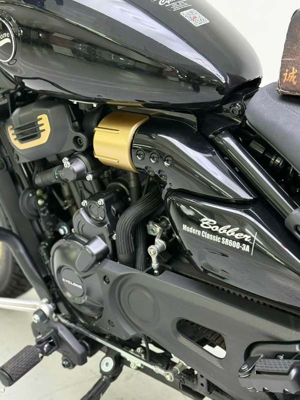 二手赛科龙RA600