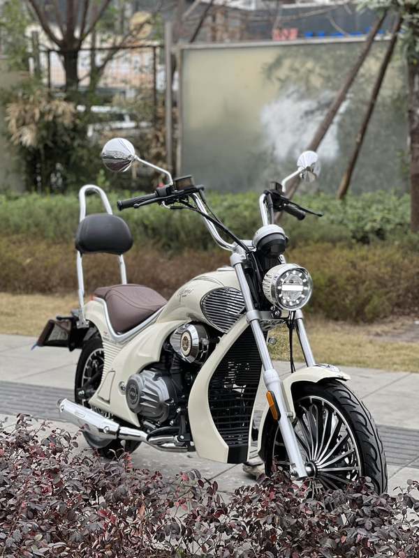 二手宗申优米Yomi