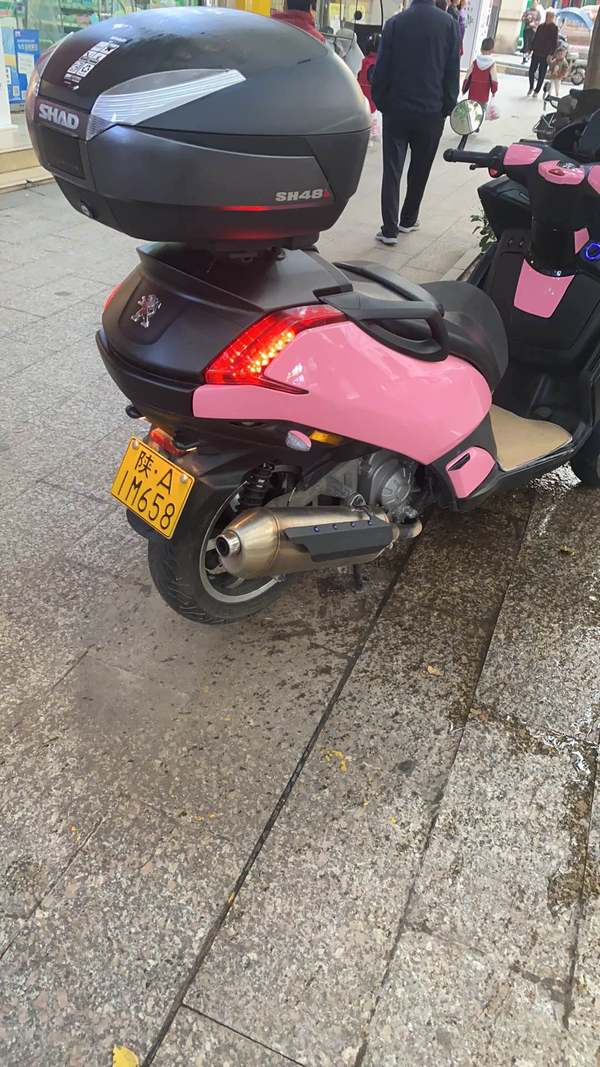 二手标致METROPOLIS