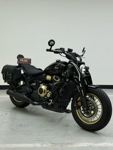 二手赛科龙RA600