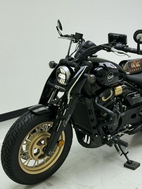 二手赛科龙RA600