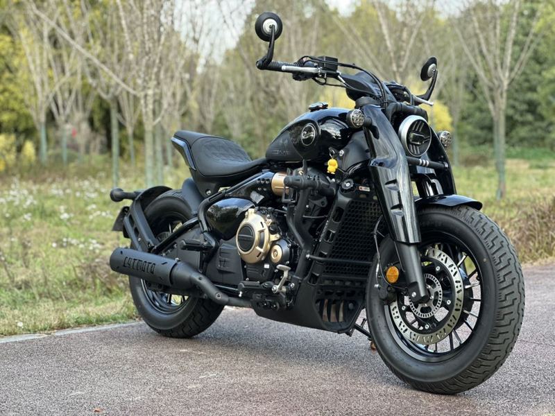 二手赛科龙RA600