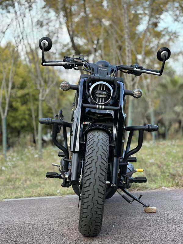 二手赛科龙RA600