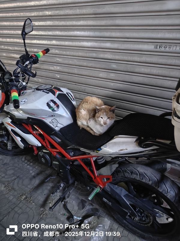 二手贝纳利红宝龙 TNT150i