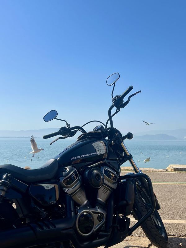 二手哈雷戴维森Nightster