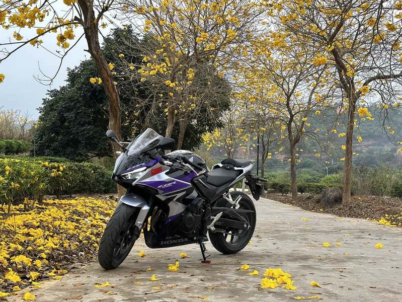 二手本田CBR400R
