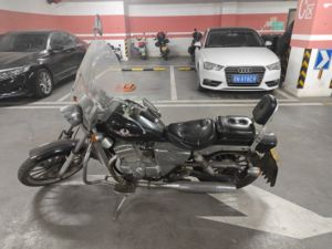 二手大地鹰王街头霸王DD250E-9A