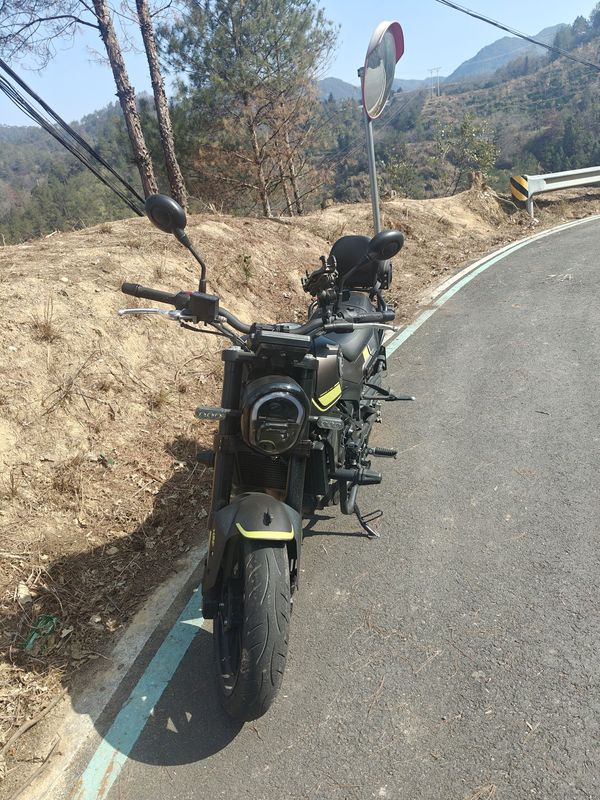 二手贝纳利幼狮 Leoncino 250