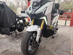 二手三阳剑齿虎 ADXTG