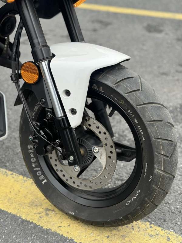 二手春风XO狒狒