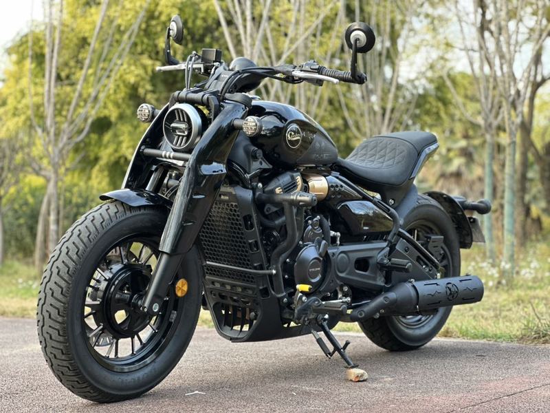 二手赛科龙RA600