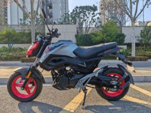 二手春风ST狒狒