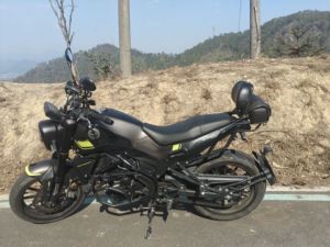 二手贝纳利幼狮 Leoncino 250