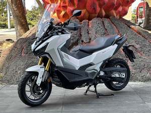 二手三阳剑齿虎 ADXTG