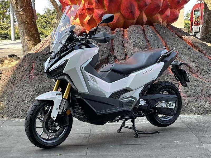 二手三阳剑齿虎 ADXTG