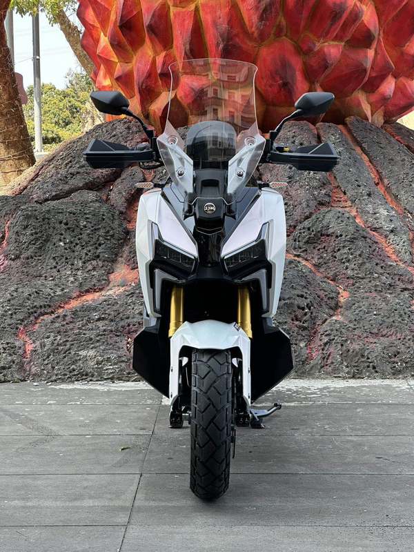 二手三阳剑齿虎 ADXTG