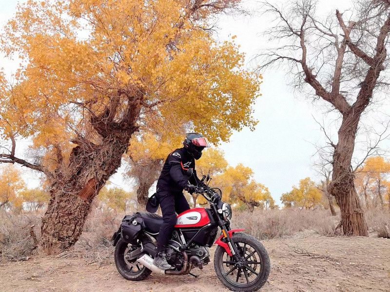 二手杜卡迪Scrambler 800