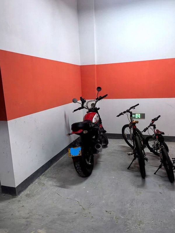 二手杜卡迪Scrambler 800