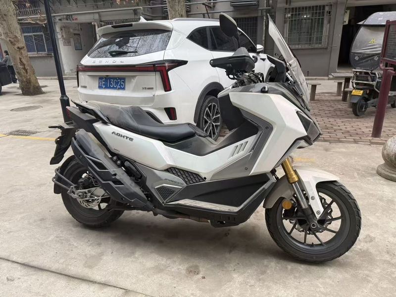 二手三阳剑齿虎 ADXTG