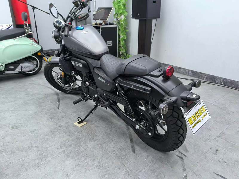 二手赛科龙RA250