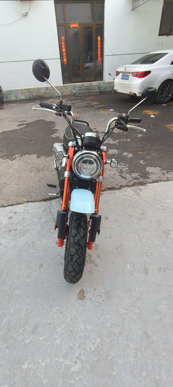 二手斯托纳猿猴