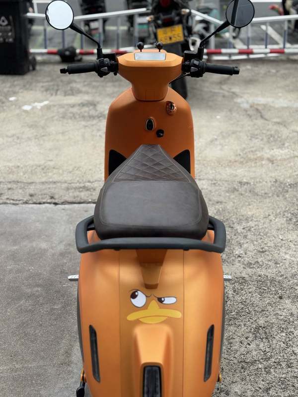 二手阿雷纳鸭嘴兽 Platypus