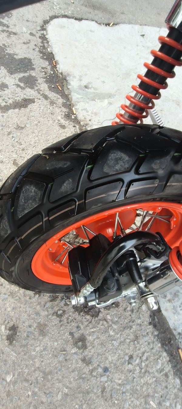 二手斯托纳猿猴