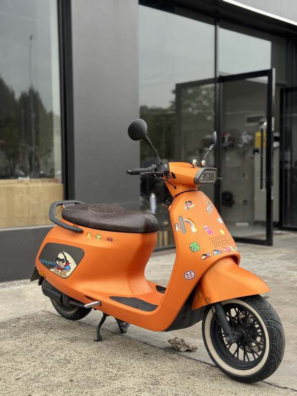 二手阿雷纳鸭嘴兽 Platypus