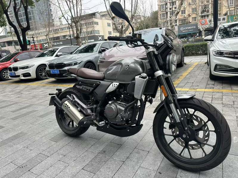 二手赛科龙RE250