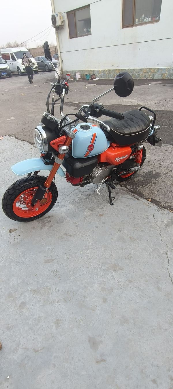 二手斯托纳猿猴