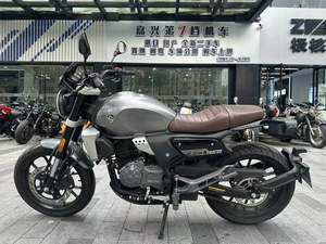 二手赛科龙RE250