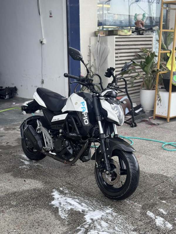 二手春风ST狒狒