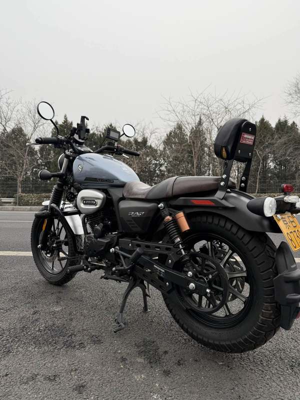 二手赛科龙RA250