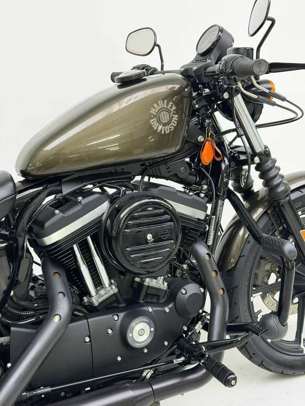 二手哈雷戴维森Iron883 硬汉