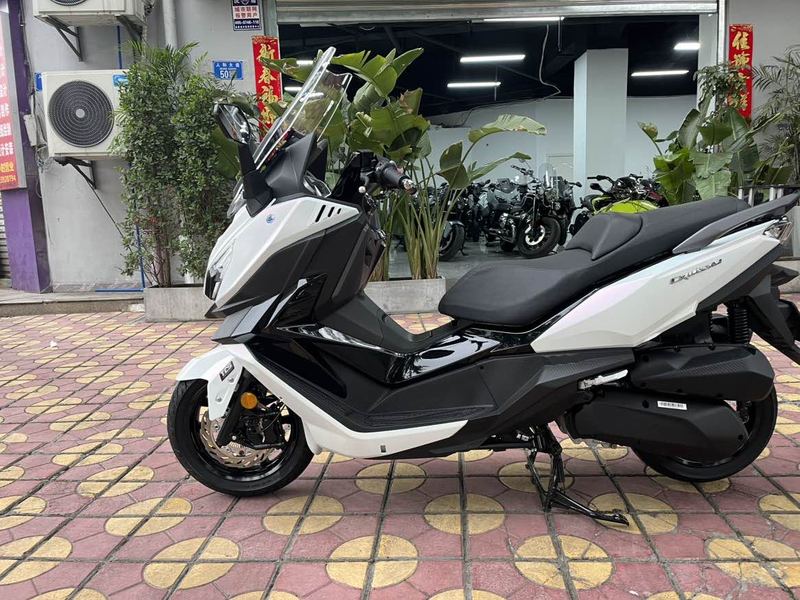 二手三阳巡弋 Cruisym250