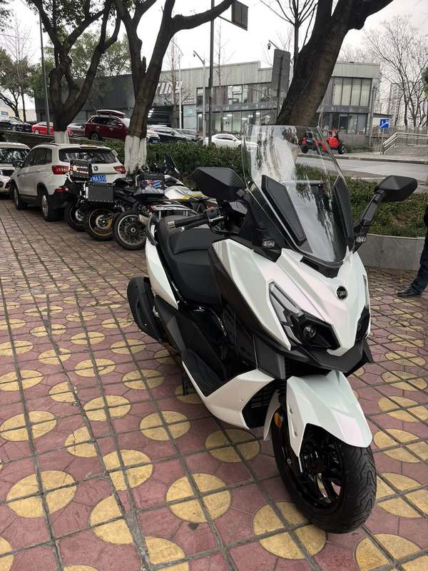 二手三阳巡弋 Cruisym250