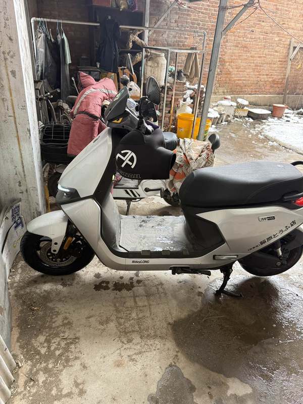 二手九号远航家M