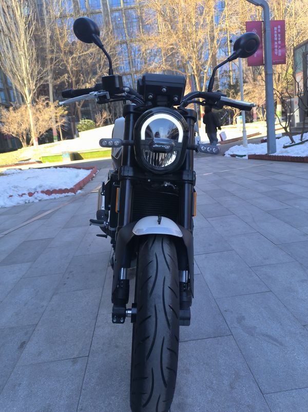 二手贝纳利幼狮 Leoncino 250