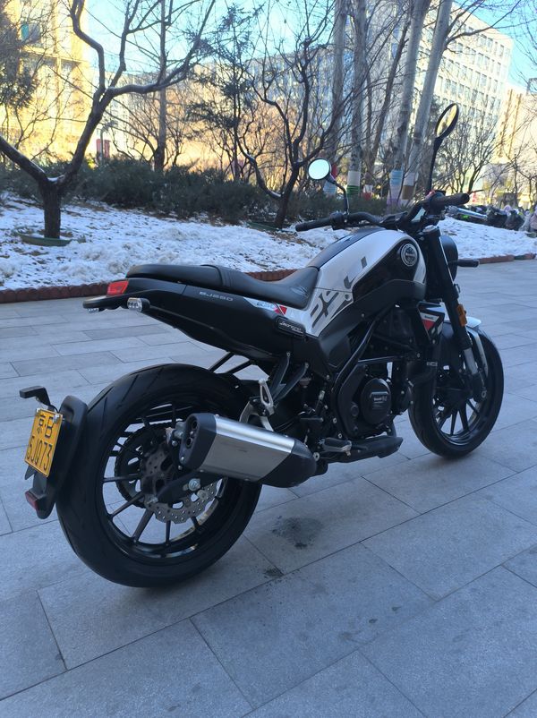 二手贝纳利幼狮 Leoncino 250