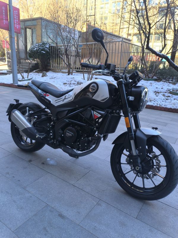 二手贝纳利幼狮 Leoncino 250