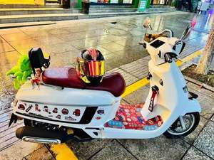 二手南方梦拉丽莎 Melalisa150